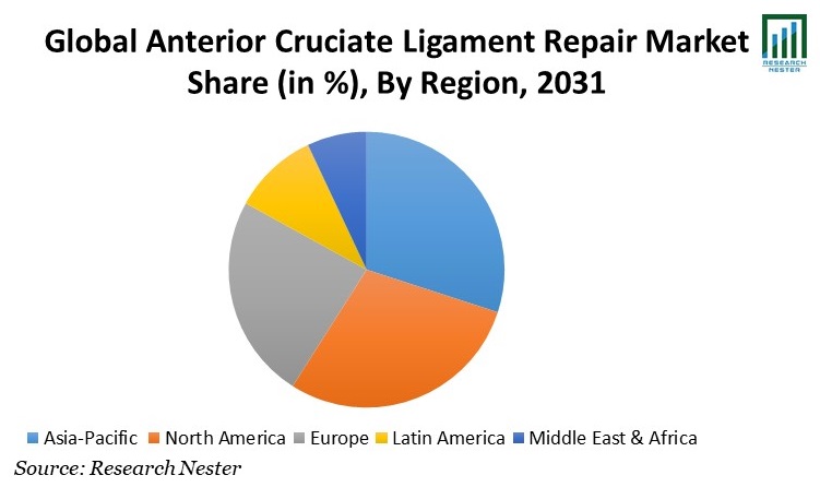 Anterior Cruciate Ligament Repair Market Share