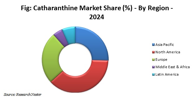 catharanthine market
