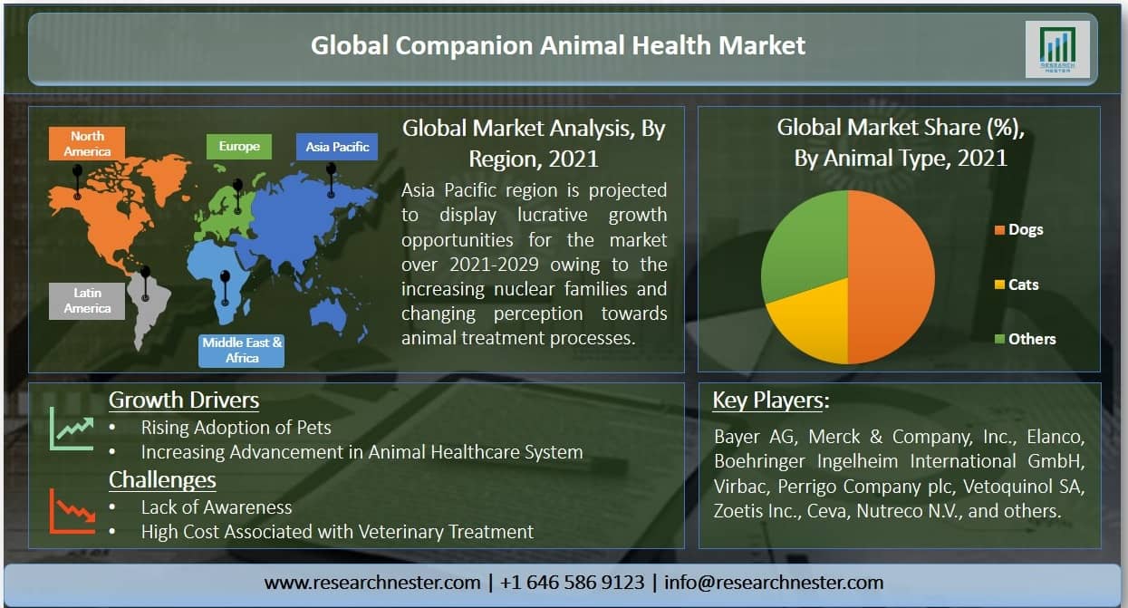 Companion Animal Health Market Graph