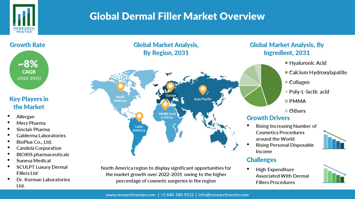 Dermal Filler Market Overview Chart