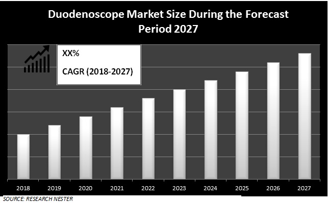 duodenoscope market