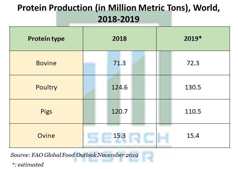 Protein Production
