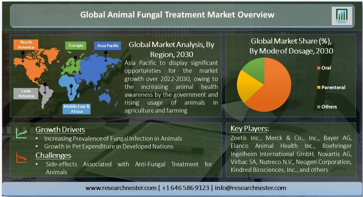 動物真菌治療市場
