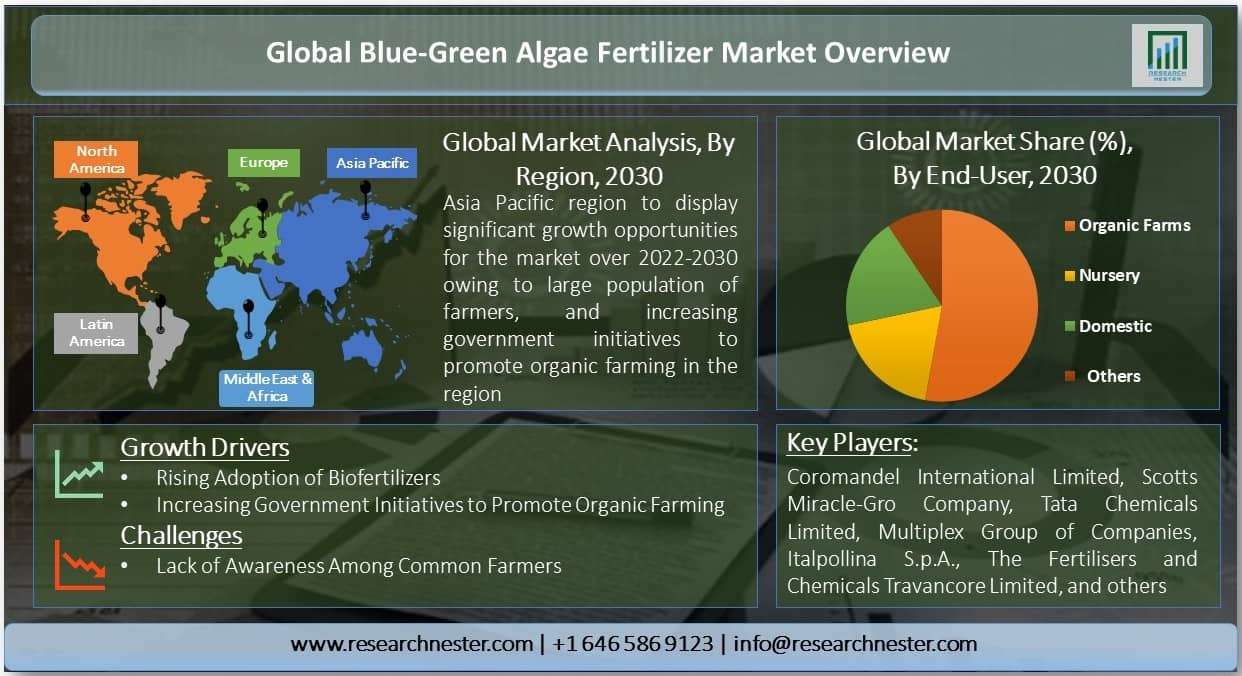 Blue -Green Algae Fertilizer Market