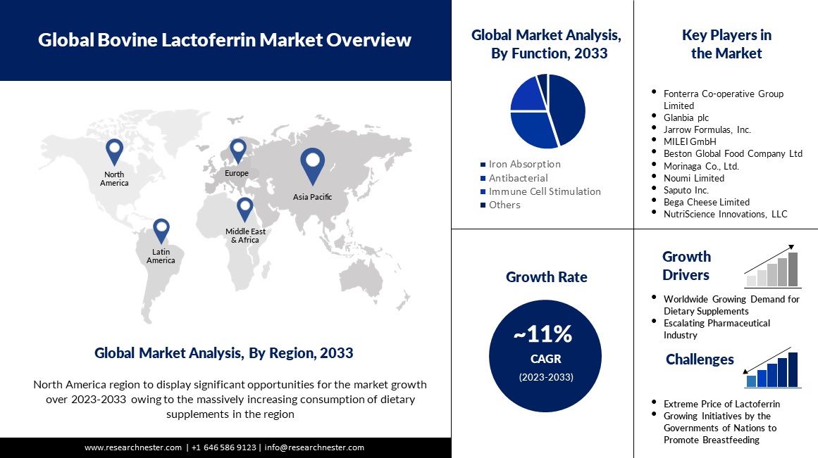 global bovine lactoferrin market overview
