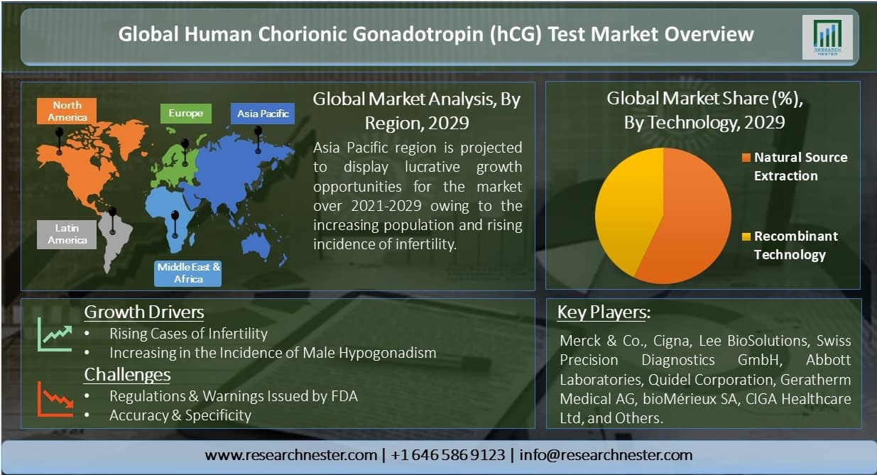 Global-Human-Chorionic-Gonadotropin-Test-Market-Overview