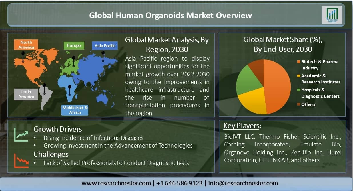 Global-Human-Organoids-Market-Overview