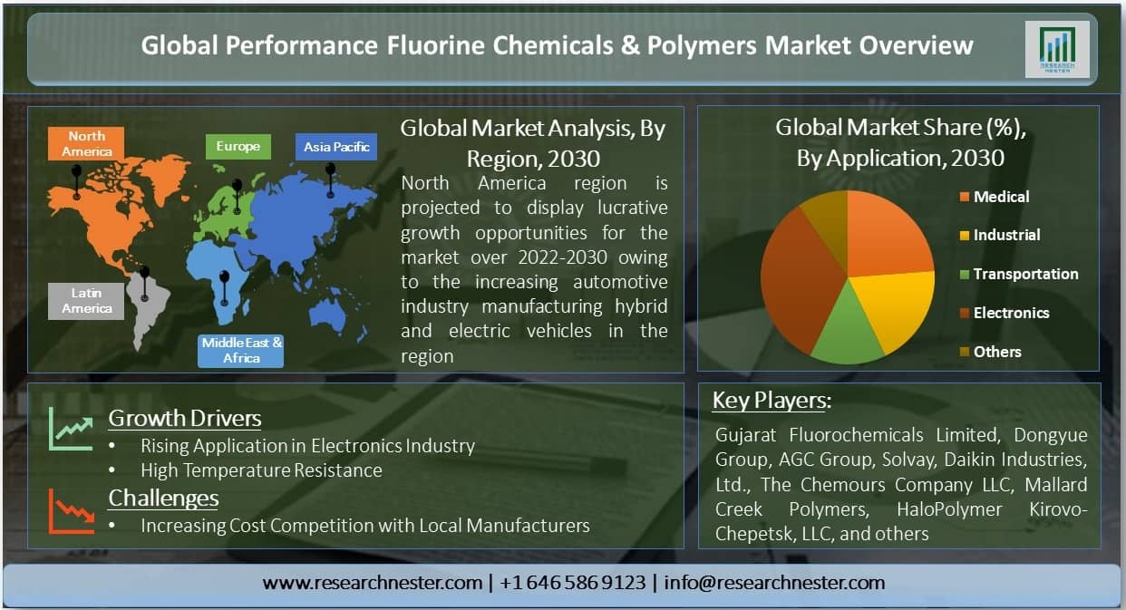 Performance Fluorine Chemicals & Polymer Market