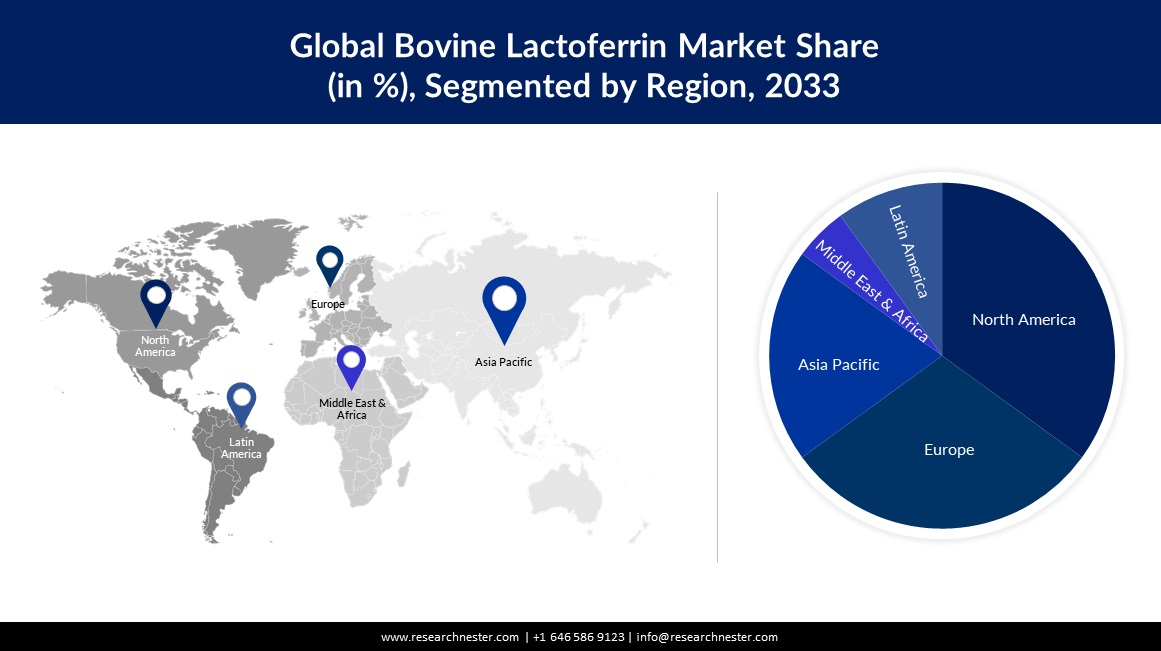 global bovine lactoferrin market  share