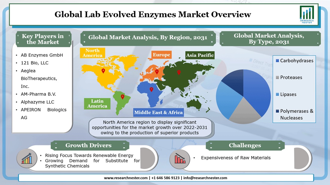 Lab Evolved Enzymes Market