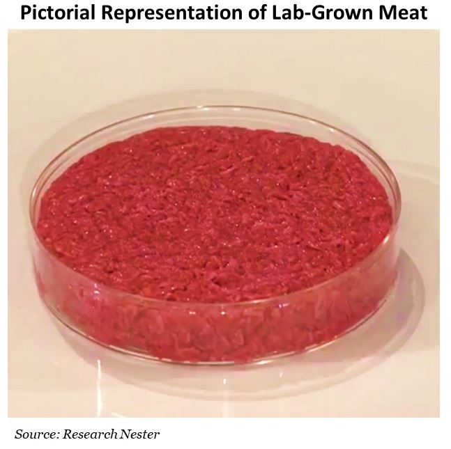 Pictorial Representation of Lab-Grow Meat