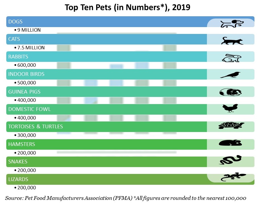 Top Ten Pets (in Numbers*) 2019
