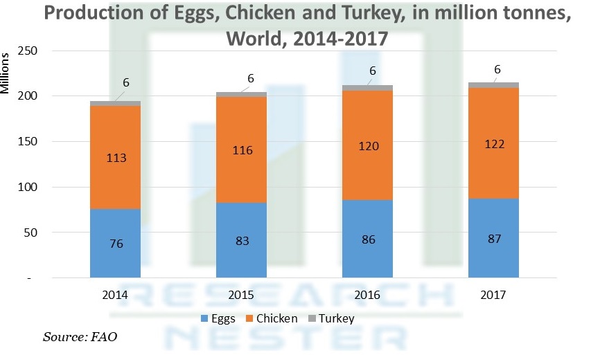 卵鶏肉とトルコの生産