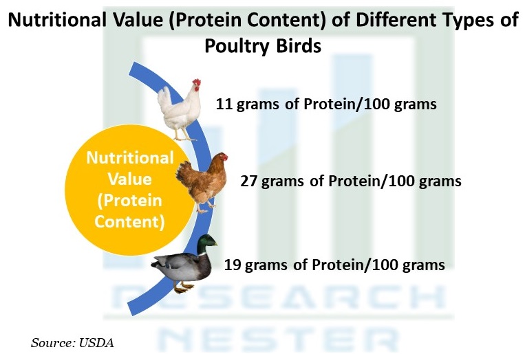 Nutritional Value (Protein Content)