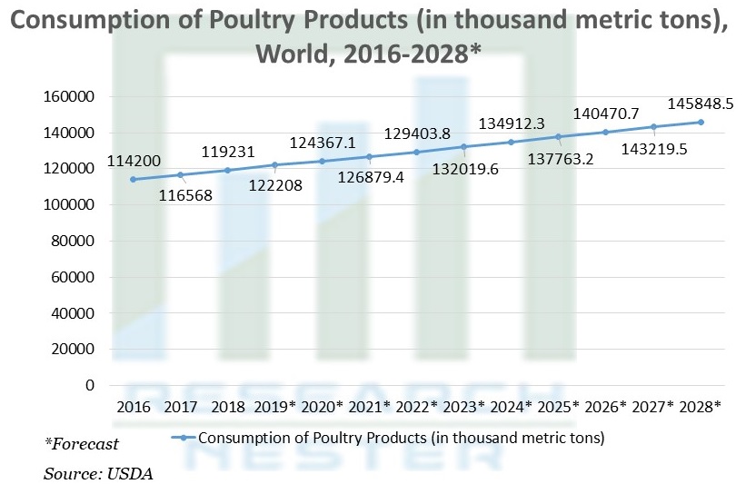家禽製品の消費量
