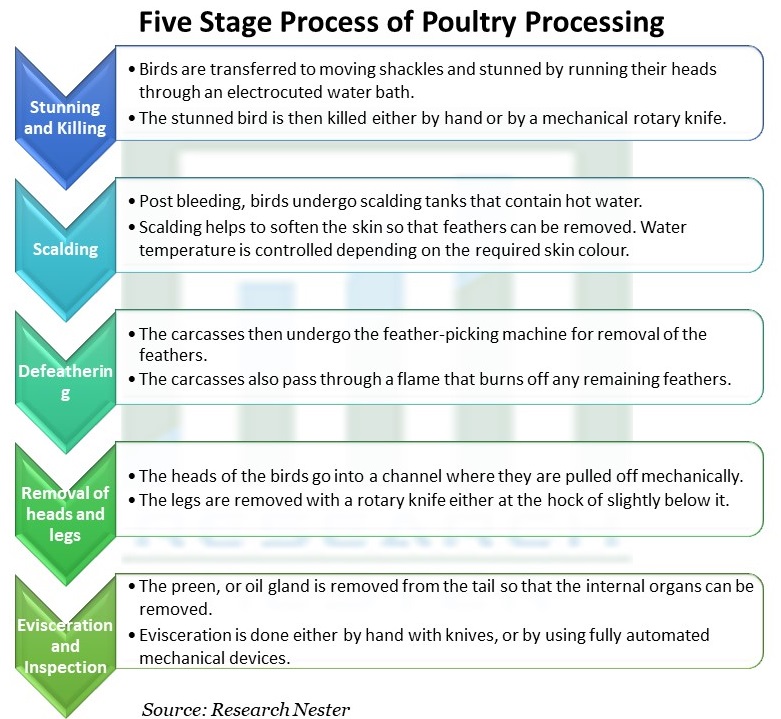 家禽処理の5段階プロセス