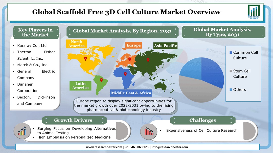 足場フリー3D細胞培養市場