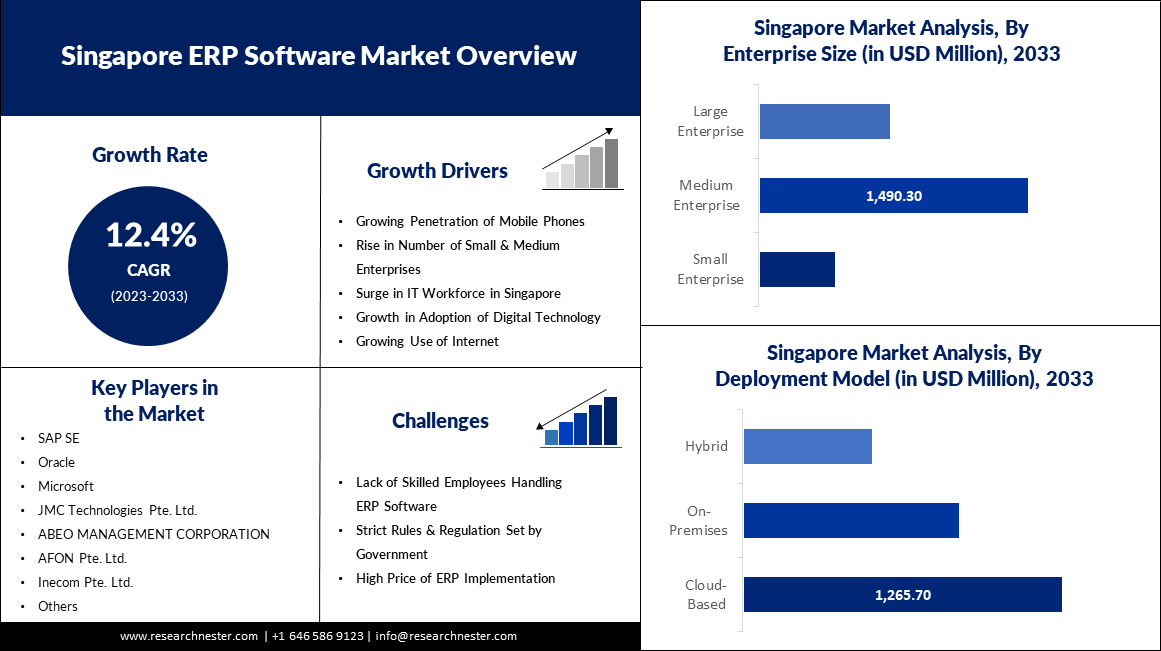 Singapore ERP Software Market overview
