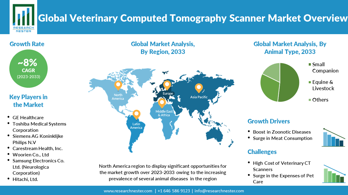 Global Veterinary Computed Tomography Scanner Market ovewview