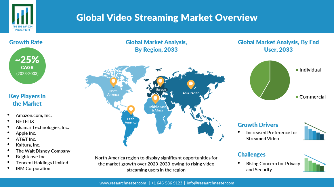 global video streaming market overview