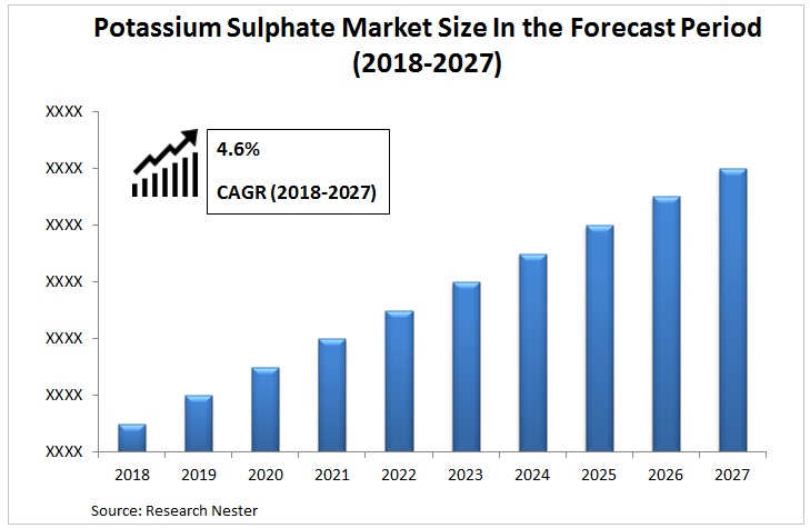 Potassium Sulphate Market Graph