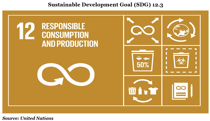持続可能な開発目標グラフ