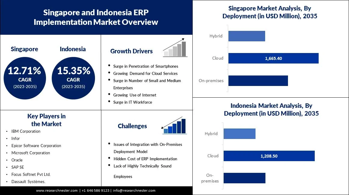 Singapore-and-Indonesia-ERP-Implementation-Market-scope